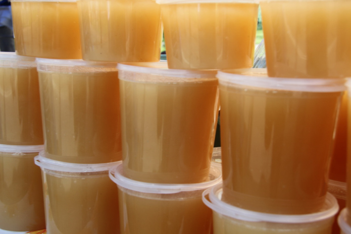 В ВКО открывается научно-исследовательский центр алтаеведения